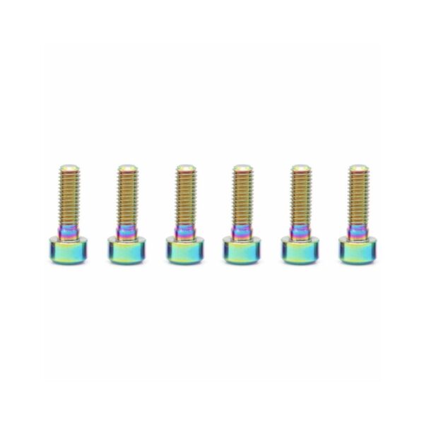 OAK Components Titanium Bolt Kit M5x16 (6pcs) - Oil Slick